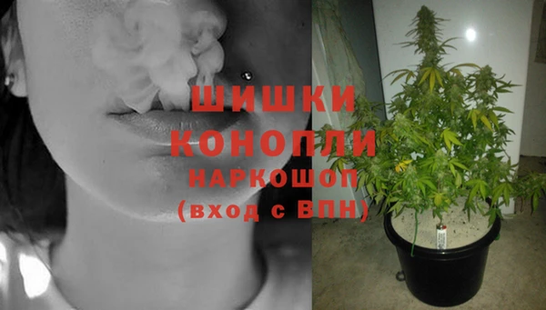 тгк Осинники