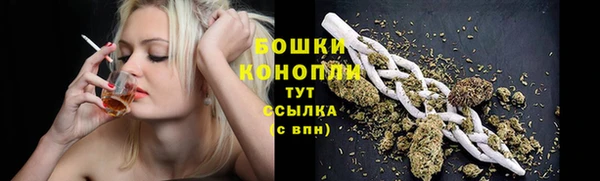 тгк Осинники