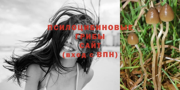 скорость mdpv Осташков