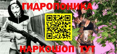 бошки Бийск