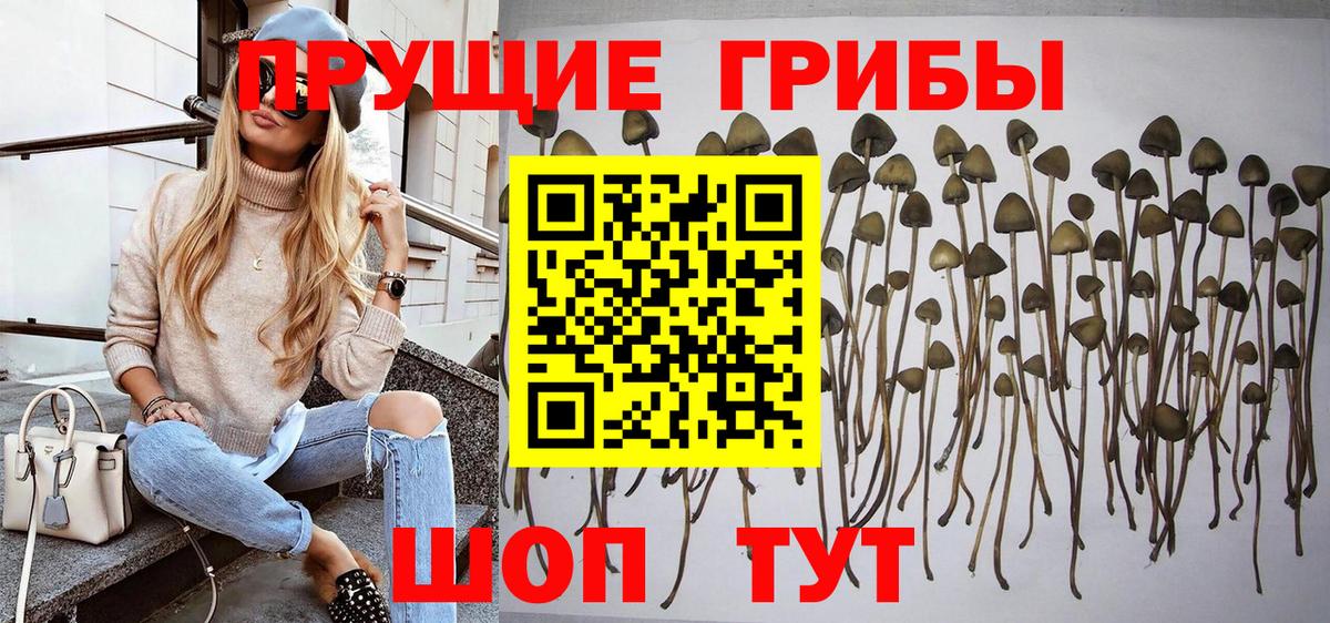 Псилоцибиновые грибы мухоморы Красноармейск