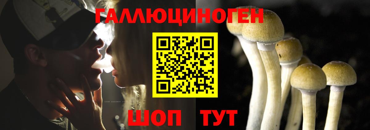 Галлюциногенные грибы MAGIC MUSHROOMS  продажа наркотиков  Красноармейск  Вход с VPN 